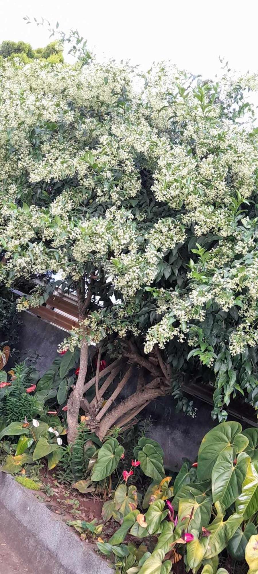 ル・タンポン Le Muguet Sauvageヴィラ エクステリア 写真